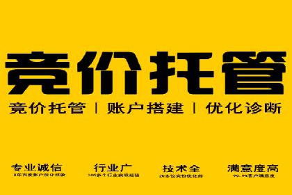 百度推广公司：如何通过精准投放提升品牌影响力